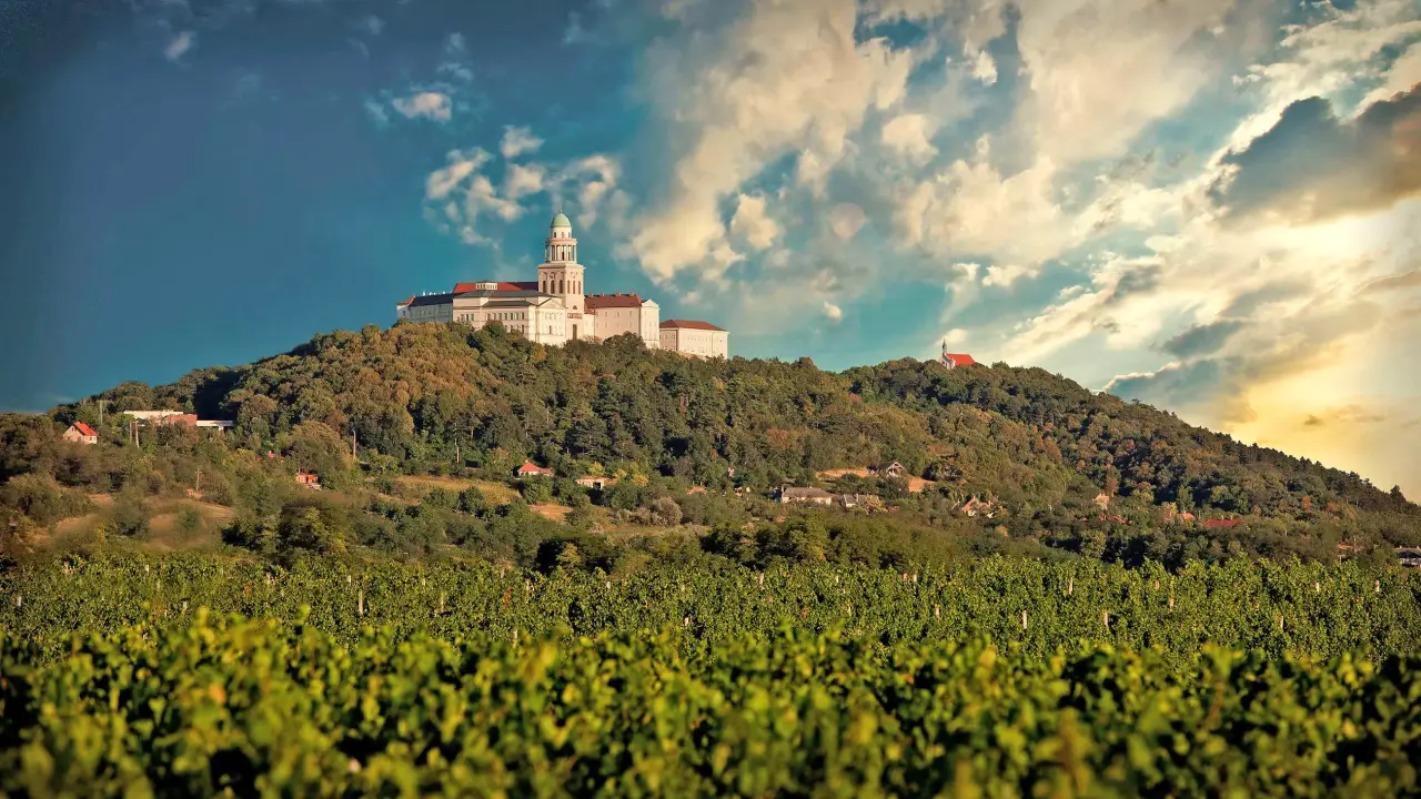 Pannonhalmi Főapátság pincészete